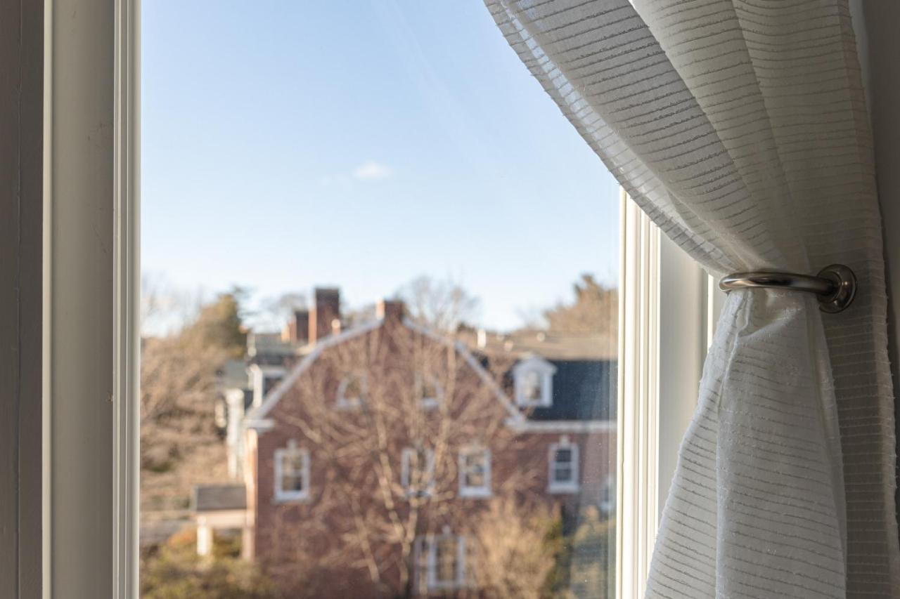 Urban Oasis In Beautiful East Rock Free Parking Yale Adjasent Apartment New Haven